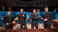 2027-01-22 Foto Elbtonal Percussion_copy_Dimitrij Leltschuk.jpg